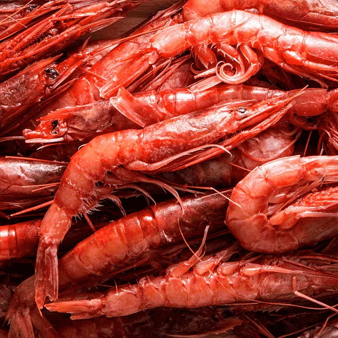 IL GUSTO AUTENTICO DEL MARE
